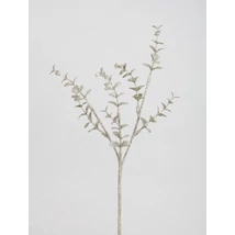 Eukaliptusz művirág